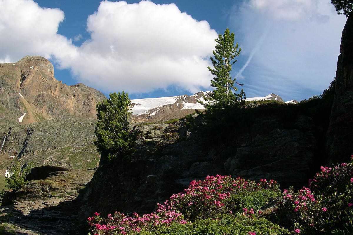 Alpenresidence Bilder